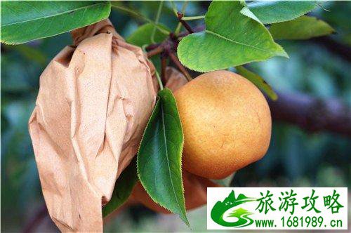 连州有什么景点 连州自自由行攻略 连州有什么景点 连州自自由行攻略