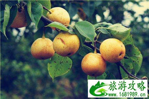 连州有什么景点 连州自自由行攻略 连州有什么景点 连州自自由行攻略