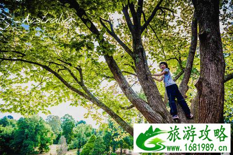 去澳大利亚旅游要多少钱 澳大利亚自由行攻略 去澳大利亚旅游要多少钱 澳大利亚自由行攻略