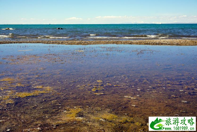 青海湖有什么景点 青海湖需要门票吗 青海湖有什么景点 青海湖需要门票吗