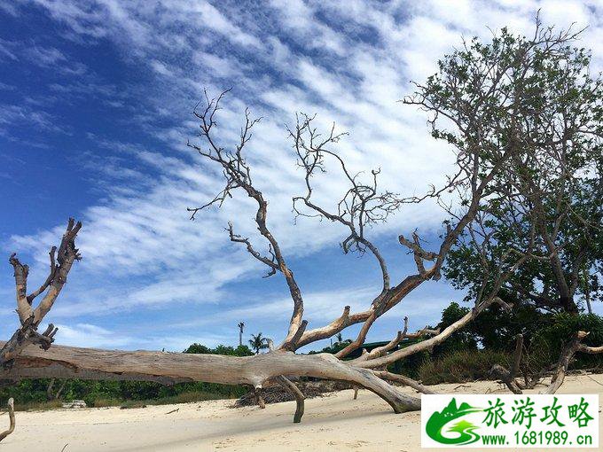 沙巴有什么好玩的 沙巴自由行攻略 沙巴有什么好玩的 沙巴自由行攻略