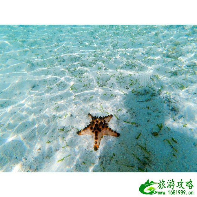 沙巴有什么好玩的 沙巴自由行攻略 沙巴有什么好玩的 沙巴自由行攻略