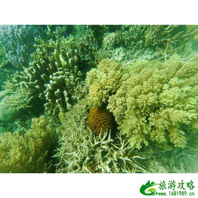 沙巴有什么好玩的 沙巴自由行攻略 沙巴有什么好玩的 沙巴自由行攻略