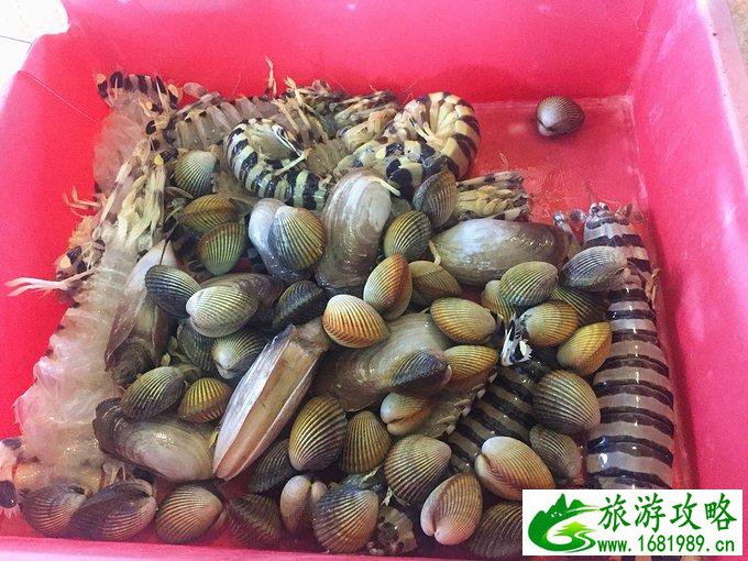 沙巴有什么好玩的 沙巴自由行攻略 沙巴有什么好玩的 沙巴自由行攻略