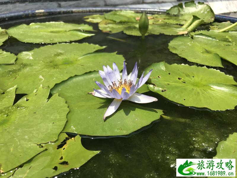 泰国有哪些景点 去泰国要多少钱 泰国有哪些景点 去泰国要多少钱