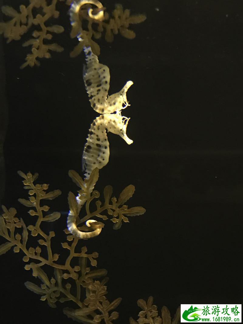 泰国有哪些景点 去泰国要多少钱 泰国有哪些景点 去泰国要多少钱