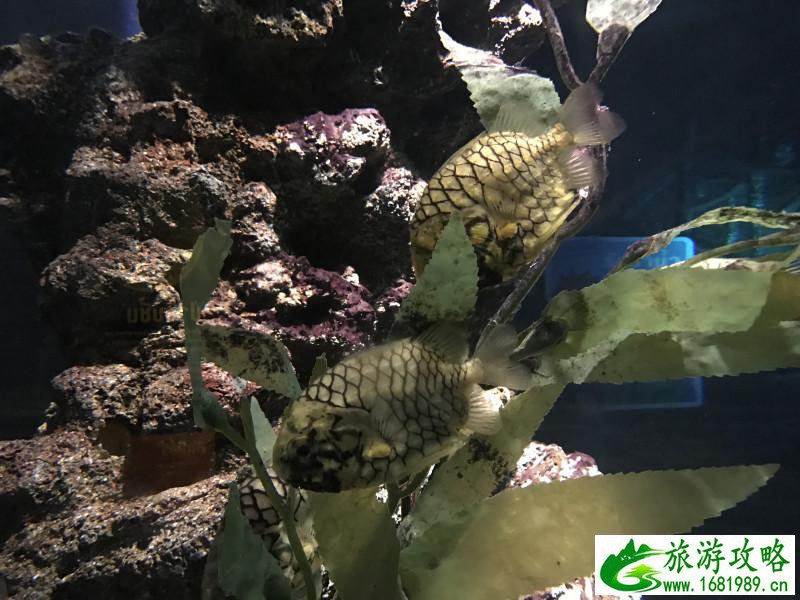 泰国有哪些景点 去泰国要多少钱 泰国有哪些景点 去泰国要多少钱