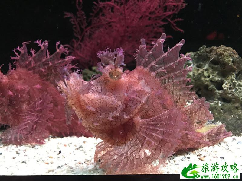 泰国有哪些景点 去泰国要多少钱 泰国有哪些景点 去泰国要多少钱