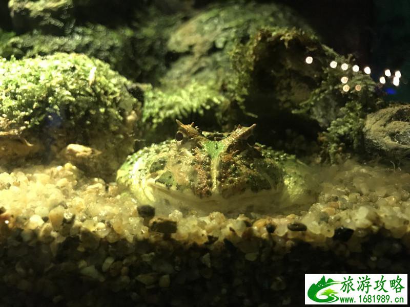 泰国有哪些景点 去泰国要多少钱 泰国有哪些景点 去泰国要多少钱