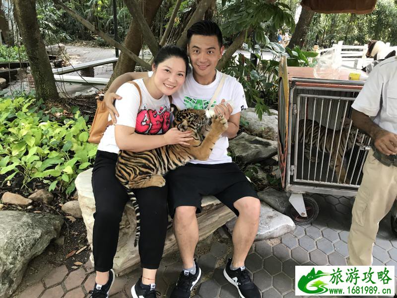 泰国有哪些景点 去泰国要多少钱 泰国有哪些景点 去泰国要多少钱