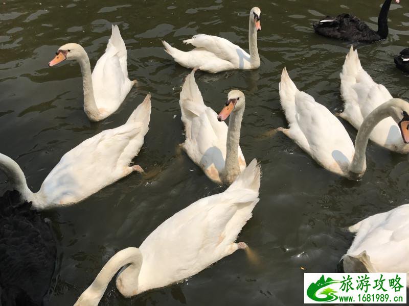 泰国有哪些景点 去泰国要多少钱 泰国有哪些景点 去泰国要多少钱