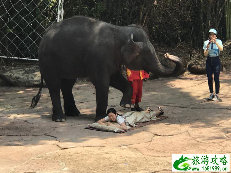 泰国有哪些景点 去泰国要多少钱 泰国有哪些景点 去泰国要多少钱