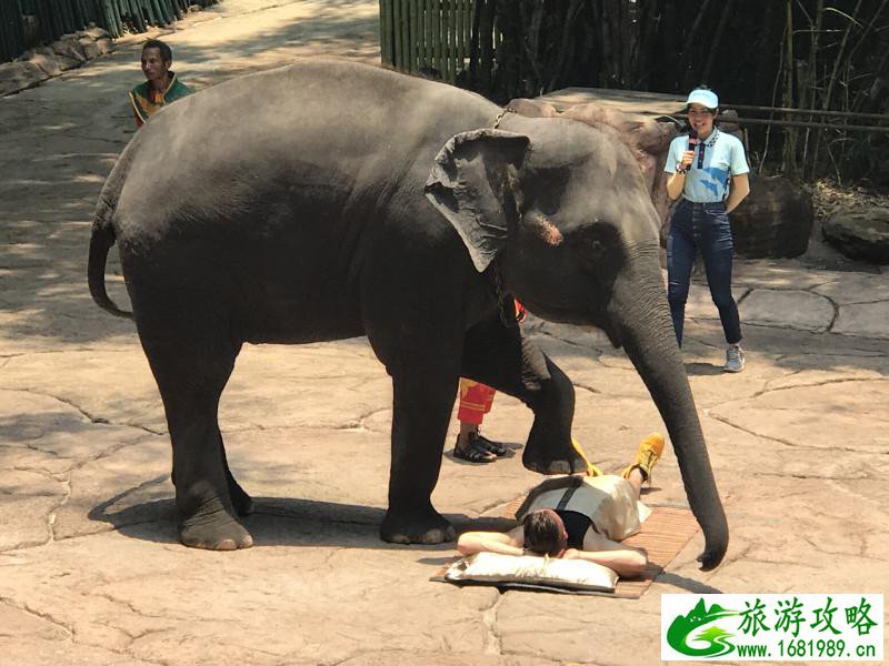 泰国有哪些景点 去泰国要多少钱 泰国有哪些景点 去泰国要多少钱