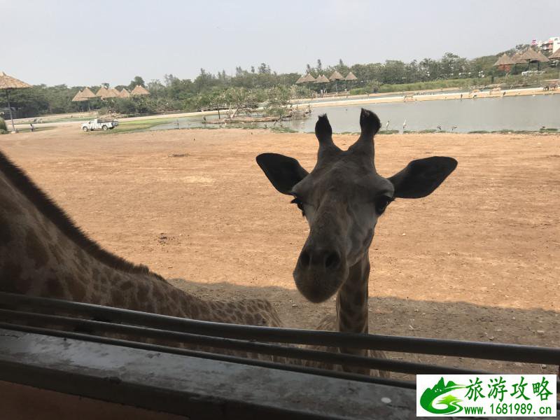 泰国有哪些景点 去泰国要多少钱 泰国有哪些景点 去泰国要多少钱