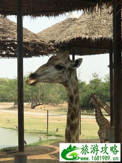 泰国有哪些景点 去泰国要多少钱 泰国有哪些景点 去泰国要多少钱