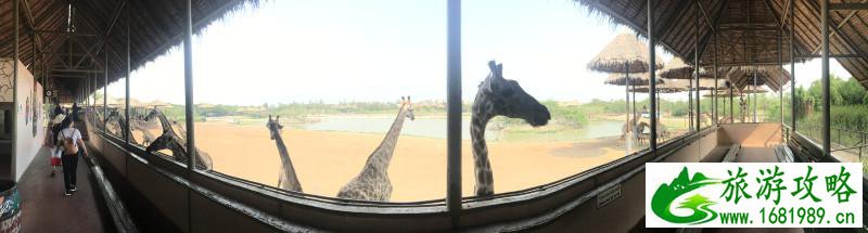 泰国有哪些景点 去泰国要多少钱 泰国有哪些景点 去泰国要多少钱