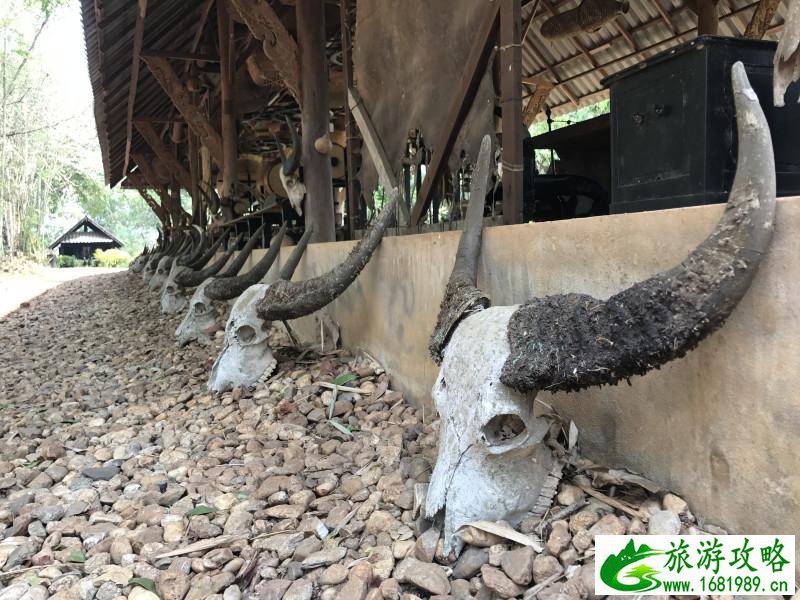 泰国有哪些景点 去泰国要多少钱 泰国有哪些景点 去泰国要多少钱