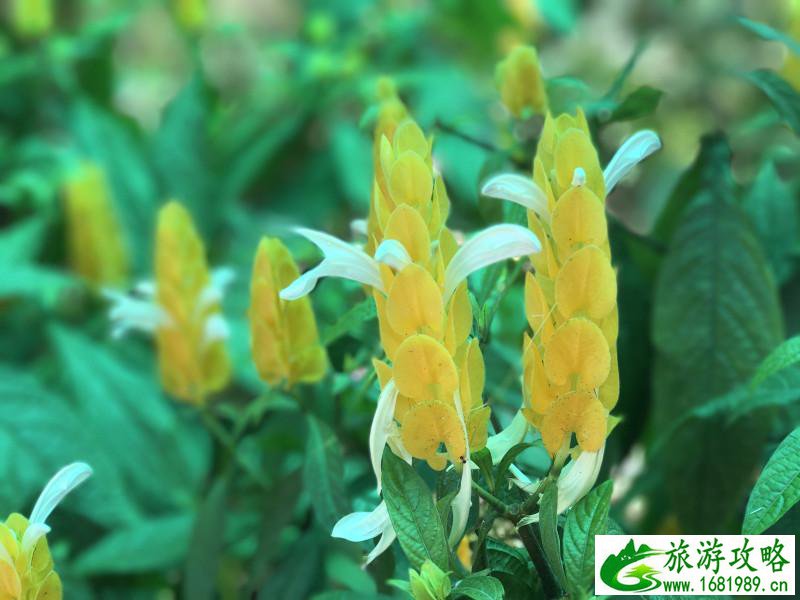 泰国有哪些景点 去泰国要多少钱 泰国有哪些景点 去泰国要多少钱