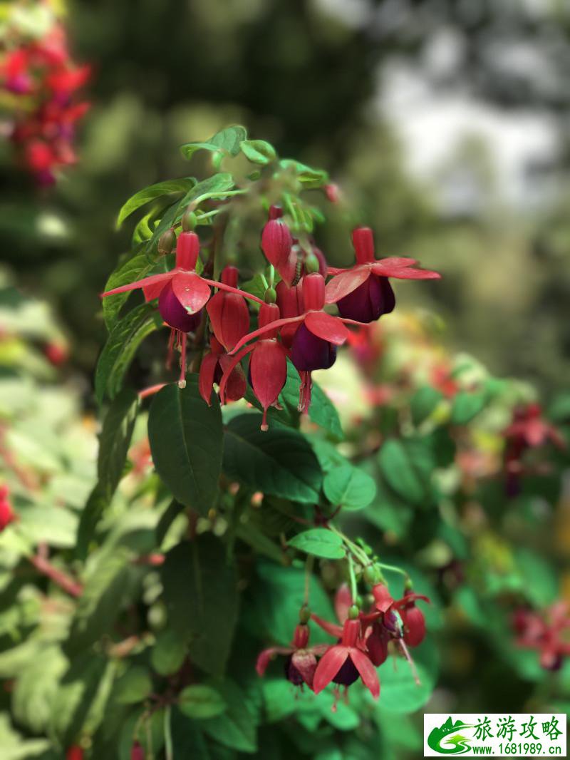 泰国有哪些景点 去泰国要多少钱 泰国有哪些景点 去泰国要多少钱