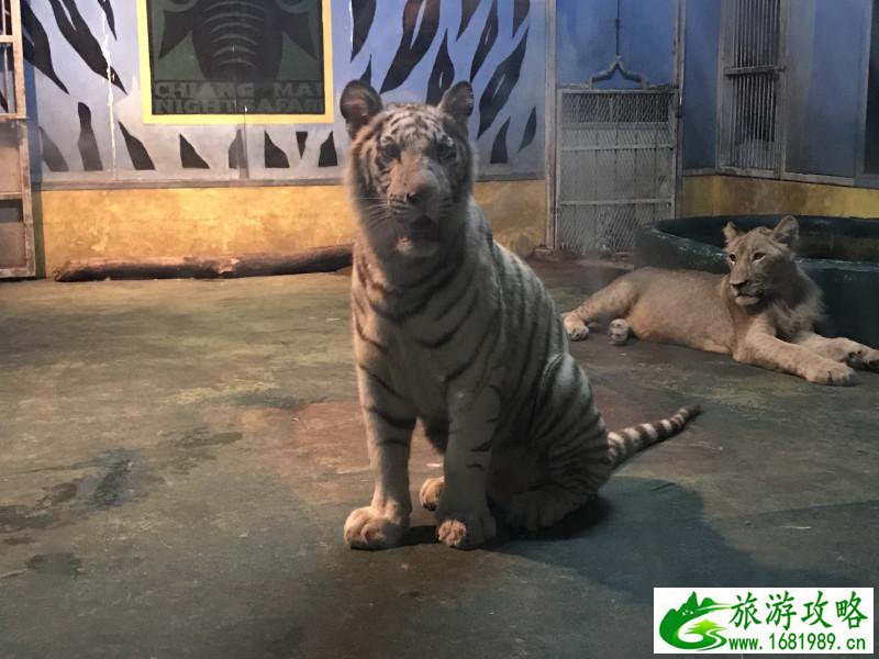 泰国有哪些景点 去泰国要多少钱 泰国有哪些景点 去泰国要多少钱