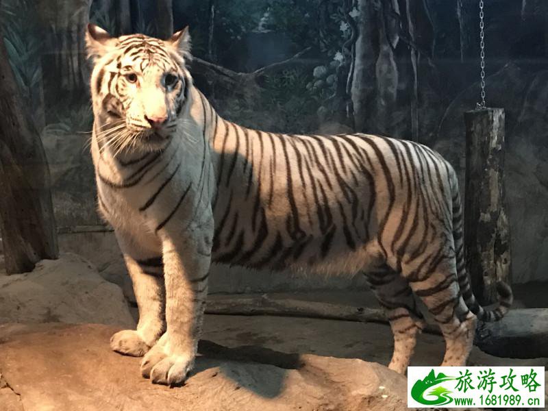 泰国有哪些景点 去泰国要多少钱 泰国有哪些景点 去泰国要多少钱