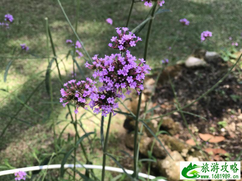 泰国有哪些景点 去泰国要多少钱 泰国有哪些景点 去泰国要多少钱