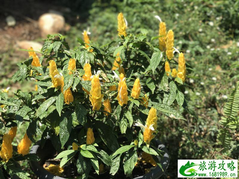 泰国有哪些景点 去泰国要多少钱 泰国有哪些景点 去泰国要多少钱