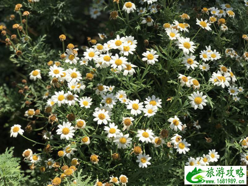 泰国有哪些景点 去泰国要多少钱 泰国有哪些景点 去泰国要多少钱