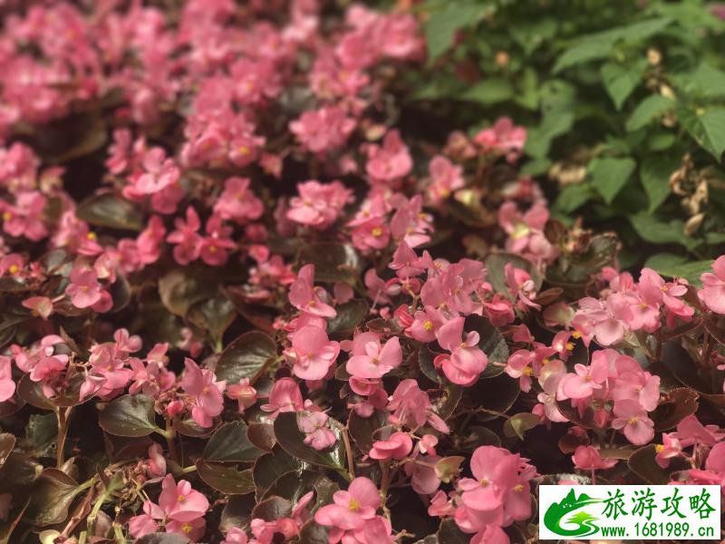 泰国有哪些景点 去泰国要多少钱 泰国有哪些景点 去泰国要多少钱