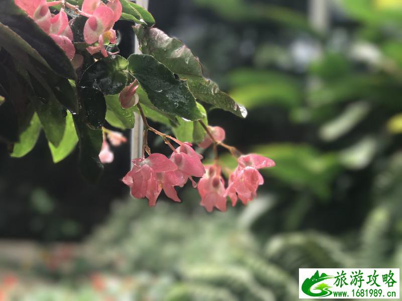 泰国有哪些景点 去泰国要多少钱 泰国有哪些景点 去泰国要多少钱