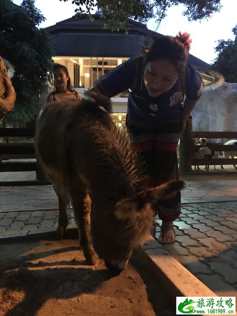 泰国有哪些景点 去泰国要多少钱 泰国有哪些景点 去泰国要多少钱