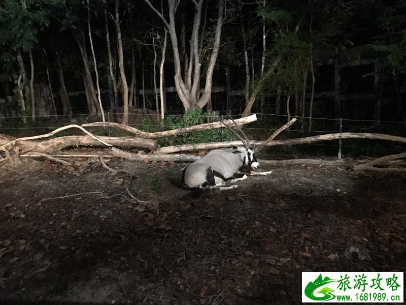 泰国有哪些景点 去泰国要多少钱 泰国有哪些景点 去泰国要多少钱