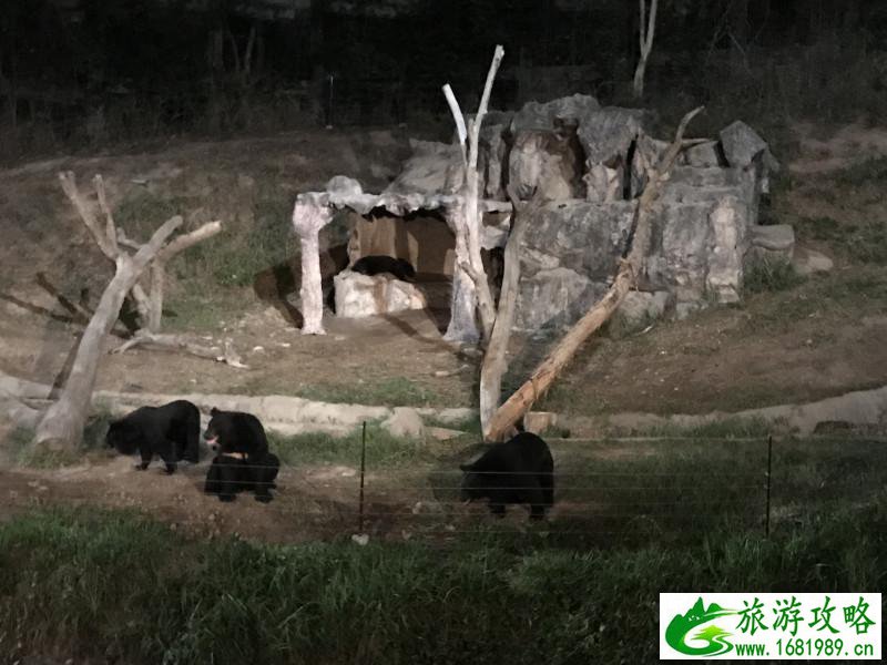 泰国有哪些景点 去泰国要多少钱 泰国有哪些景点 去泰国要多少钱