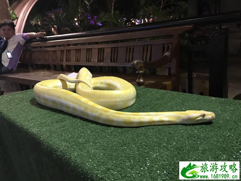 泰国有哪些景点 去泰国要多少钱 泰国有哪些景点 去泰国要多少钱