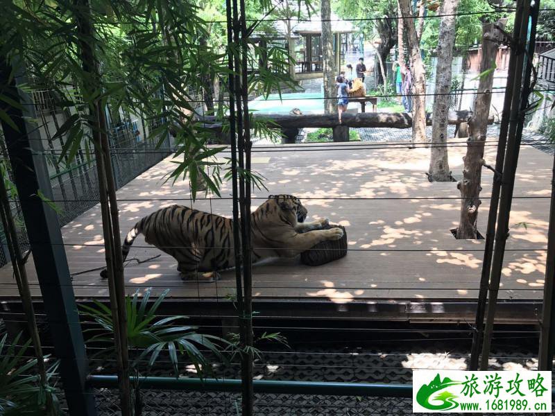 泰国有哪些景点 去泰国要多少钱 泰国有哪些景点 去泰国要多少钱