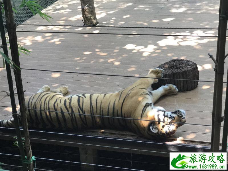 泰国有哪些景点 去泰国要多少钱 泰国有哪些景点 去泰国要多少钱