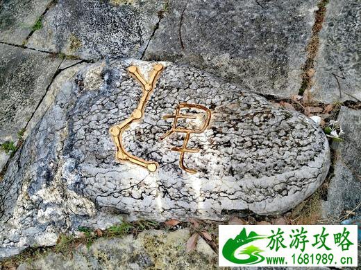 链子崖风景区门票多少钱 链子崖风景区攻略 链子崖风景区门票多少钱 链子崖风景区攻略