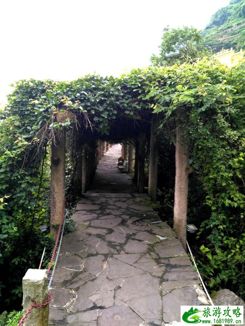 链子崖风景区门票多少钱 链子崖风景区攻略 链子崖风景区门票多少钱 链子崖风景区攻略