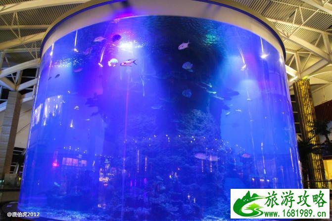 惠州有哪些旅游景点 惠州什么美食 惠州有哪些旅游景点 惠州什么美食