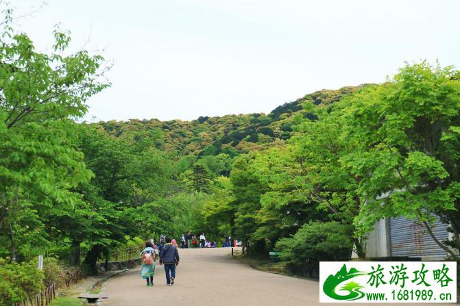 大阪有什么旅游景点 去大阪买什么好 大阪有什么旅游景点 去大阪买什么好