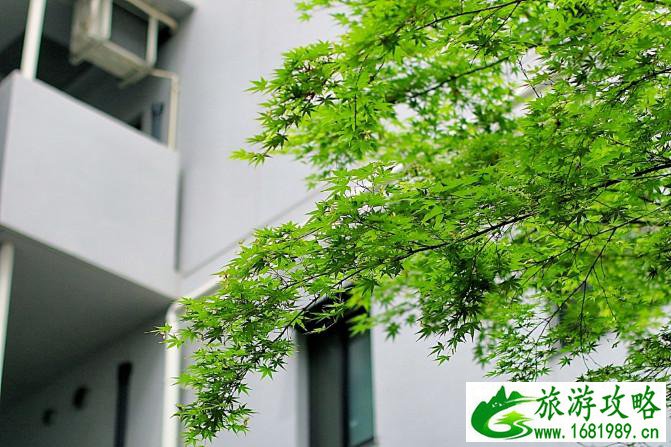 大阪有什么旅游景点 去大阪买什么好 大阪有什么旅游景点 去大阪买什么好