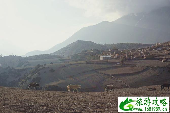 尼泊尔需要签证吗 尼泊尔有哪些旅游景点 尼泊尔需要签证吗 尼泊尔有哪些旅游景点