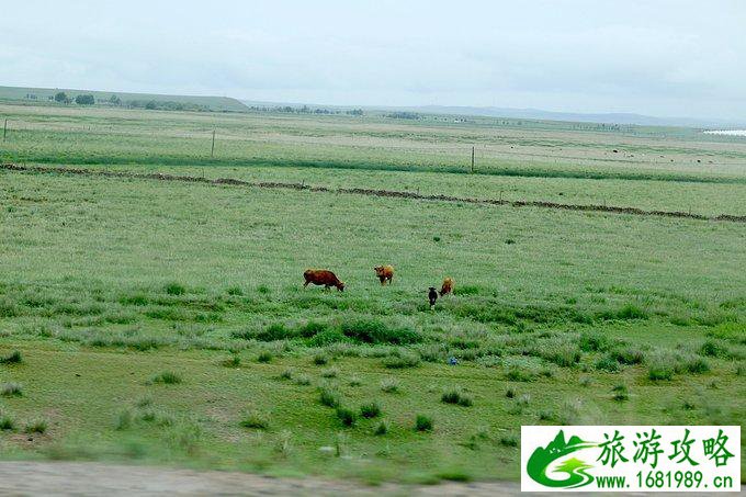 内蒙古自驾游攻略 内蒙古哪些地方好玩 内蒙古自驾游攻略 内蒙古哪些地方好玩