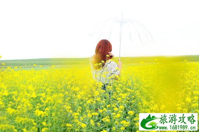 内蒙古自驾游攻略 内蒙古哪些地方好玩 内蒙古自驾游攻略 内蒙古哪些地方好玩