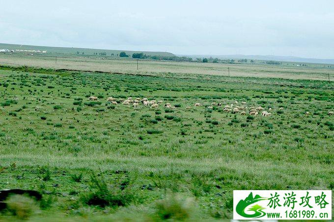 内蒙古自驾游攻略 内蒙古哪些地方好玩 内蒙古自驾游攻略 内蒙古哪些地方好玩