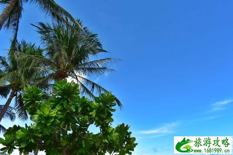 去泰国旅游要多少钱 泰国旅游注意事项 去泰国旅游要多少钱 泰国旅游注意事项