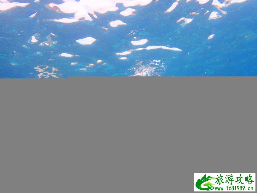 去泰国旅游要多少钱 泰国旅游注意事项 去泰国旅游要多少钱 泰国旅游注意事项