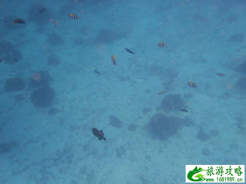 去泰国旅游要多少钱 泰国旅游注意事项 去泰国旅游要多少钱 泰国旅游注意事项