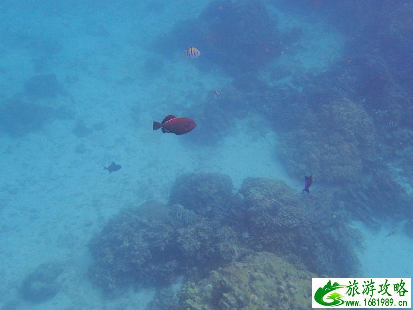 去泰国旅游要多少钱 泰国旅游注意事项 去泰国旅游要多少钱 泰国旅游注意事项