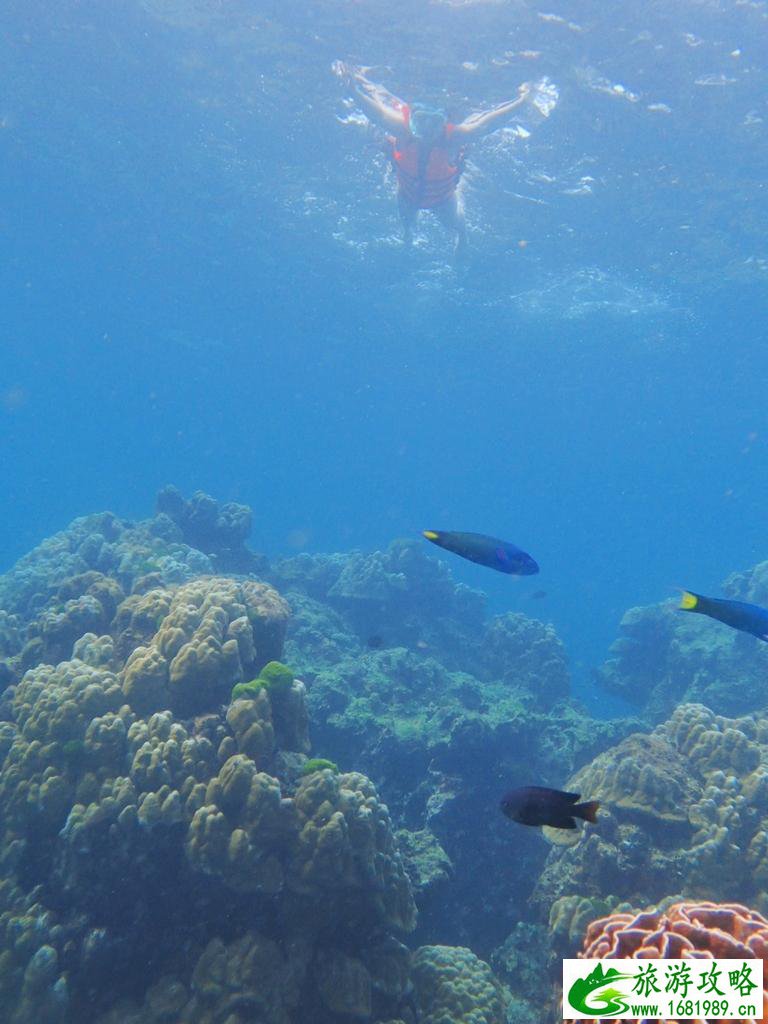 去泰国旅游要多少钱 泰国旅游注意事项 去泰国旅游要多少钱 泰国旅游注意事项